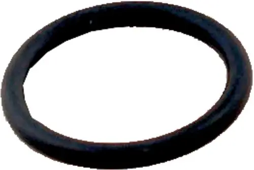 Schwarzer O-Ring auf weißem Hintergrund, möglicherweise für einen Strömungsschalter. Produkt gehört zur Marke Wolf.